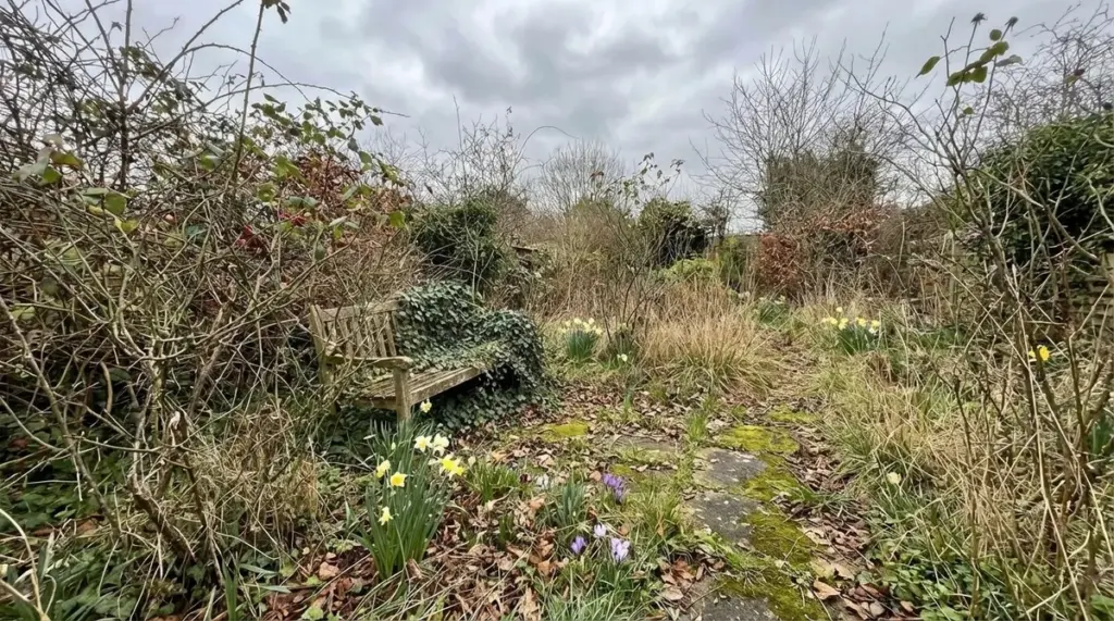 Mein verwilderter Garten: Wie ich die Kontrolle aufgab und die Natur mich belohnte