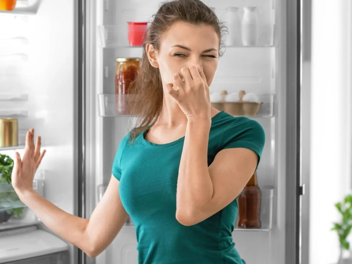 Sechs natürliche Wege, um den Kühlschrankgeruch zu vertreiben und die Frische zu bewahren - image 1
