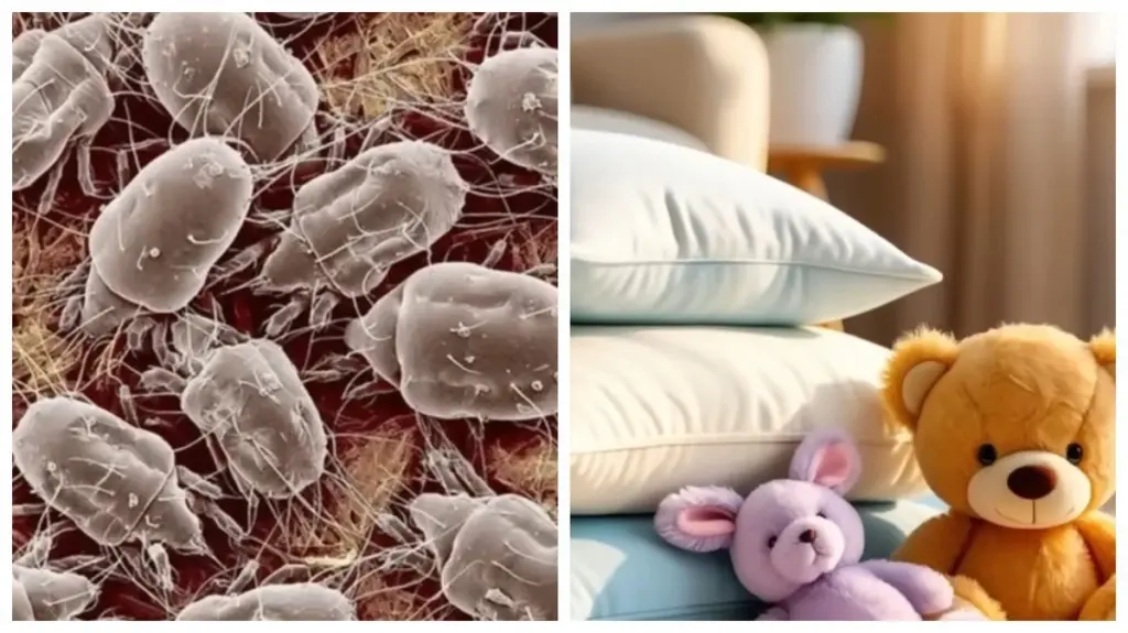 So verwandeln Sie Frost in ein Werkzeug für makellose Sauberkeit und Desinfektion: 5 Dinge, die darum bitten