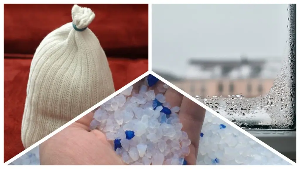 So wird Ihre Nachbarin wegen Katzenstreu auf den Fensterbänken nicht ohnmächtig – und Ihre Fenster bleiben trocken