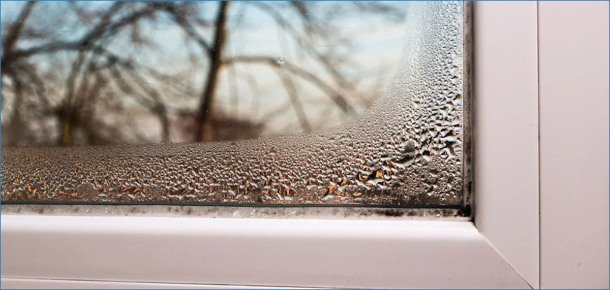 So wird Ihre Nachbarin wegen Katzenstreu auf den Fensterbänken nicht ohnmächtig – und Ihre Fenster bleiben trocken - image 1