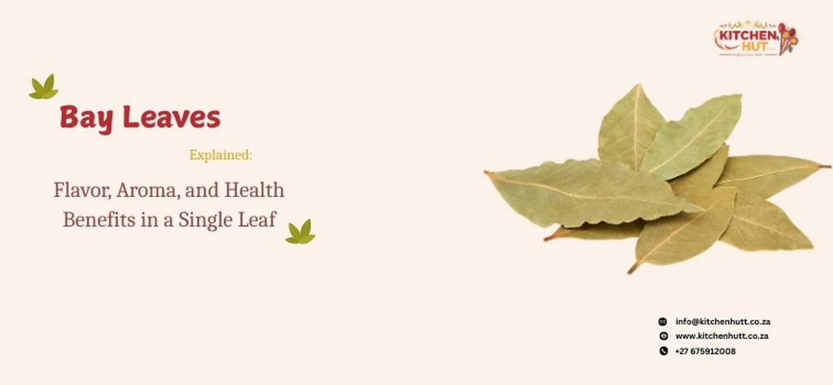 Vergessen Sie teure Lufterfrischer: Lorbeerblatt als Aromatherapie-Geheimnis - image 1