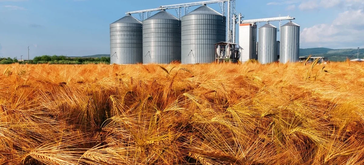 Warum 75% der Hausfrauen ihre Getreide falsch lagern: Käfer sind das Ergebnis - image 1