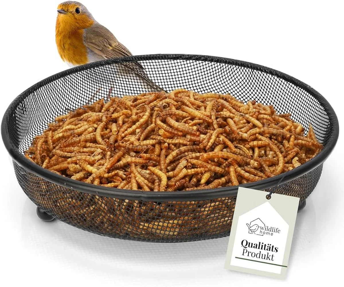 Warum alteingesessene Vogelhelfer winzige Samen auf den Fußboden streuen - image 1