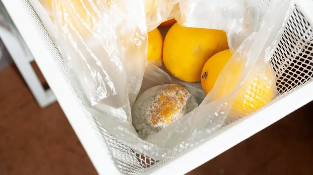 Warum deine Zitronen & Mandarinen wie im Zeitraffer schimmeln: DAS musst du sofort nach dem Einkauf tun