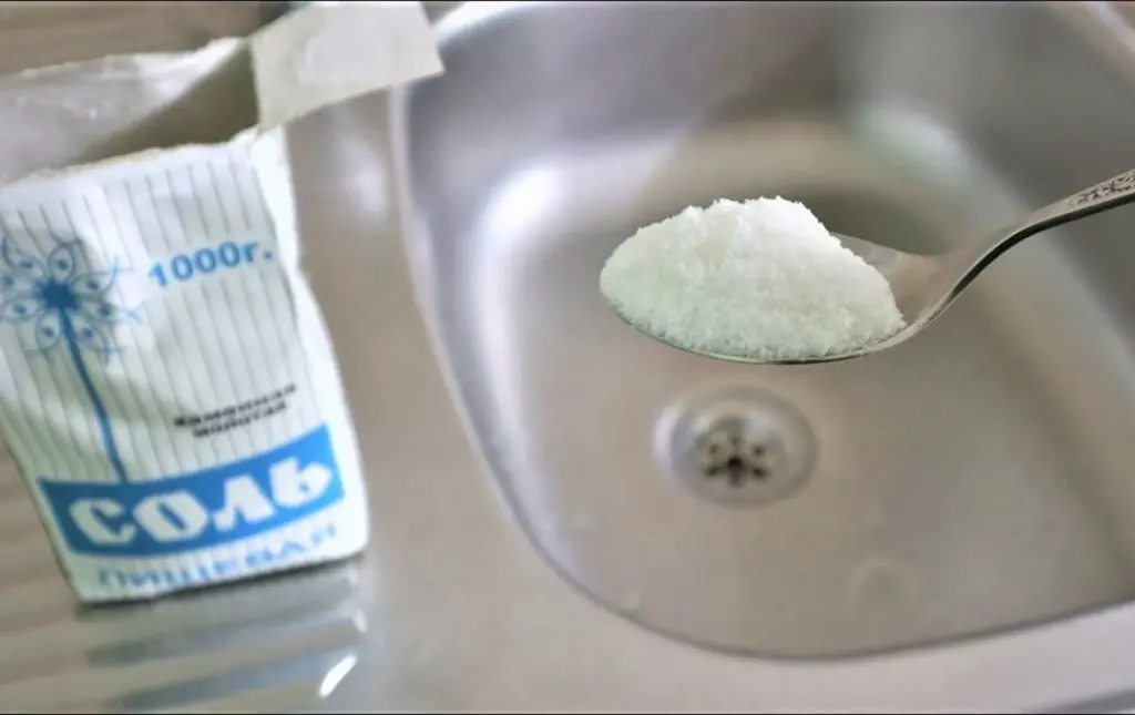 Warum der Küchenabfluss tagelang nach Fisch roch, bis mein Schwager mir einen Trick zeigte: 2 Löffel Salz über Nacht