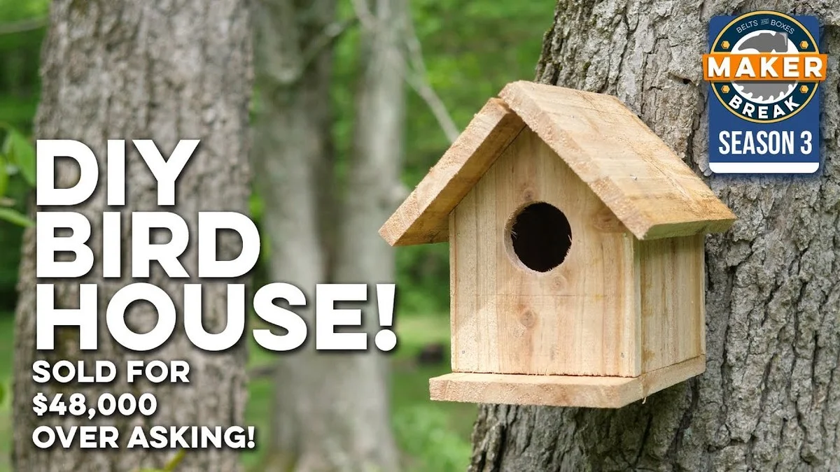 Warum ein Quadratmeter im Garage-Chaos Dutzende Vögel über Nacht retten kann - image 2