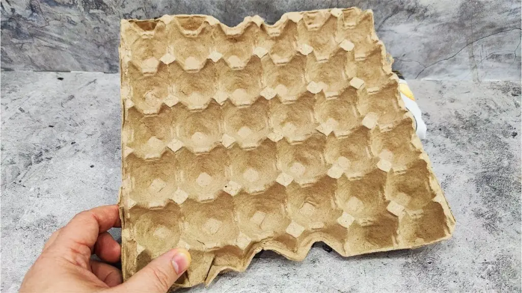 Warum erfahrene Gärtner Eierkartons in den Keller legen statt in den Müll: Der 10/10-Trick für feuchte Räume