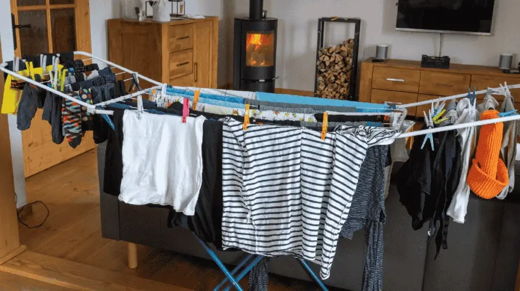 Warum erfahrene Gärtner im Winter einen Schwamm unter den Blumentopf legen