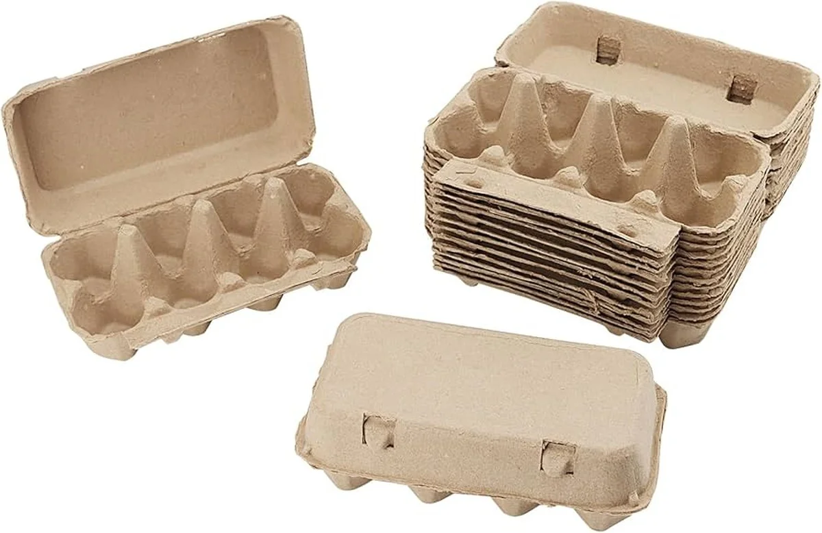 Warum erfahrene Gärtner Eierkartons in den Keller legen statt in den Müll: Der 10/10-Trick für feuchte Räume - image 1