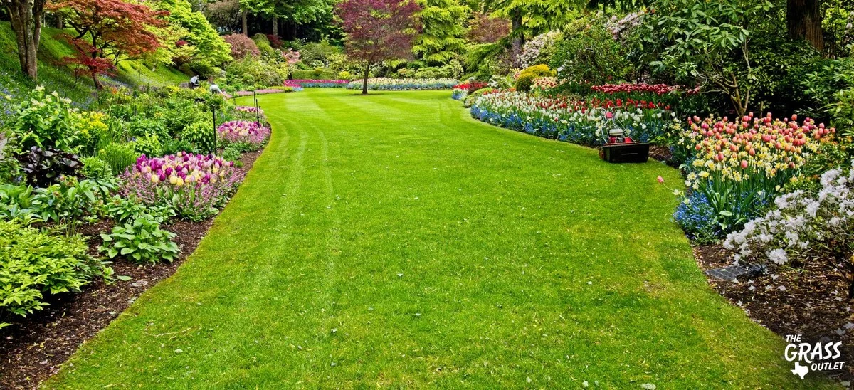 Warum erfahrene Gärtner den Rasen schon im Jänner nicht in Ruhe lassen - image 1