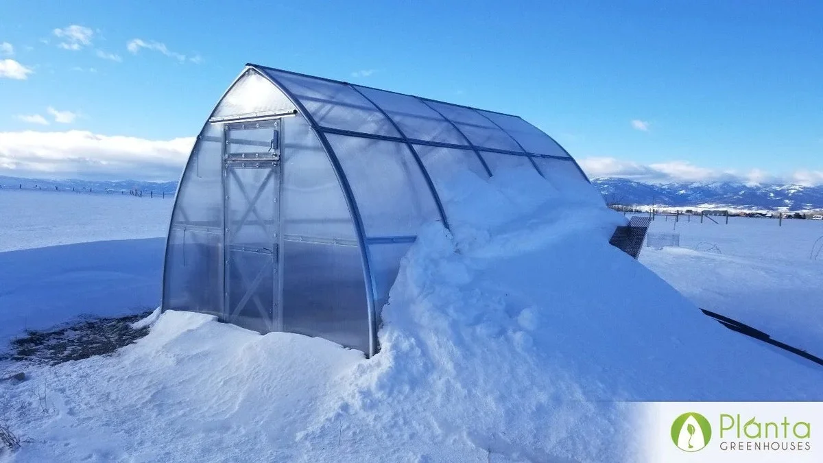 Warum erfahrene Gärtner im Winter Laub an die Hauswand legen - image 1