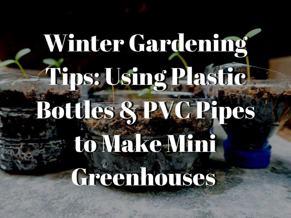 Warum erfahrene Gärtner im Winter eine Plastikflasche im Garten liegen lassen - image 1