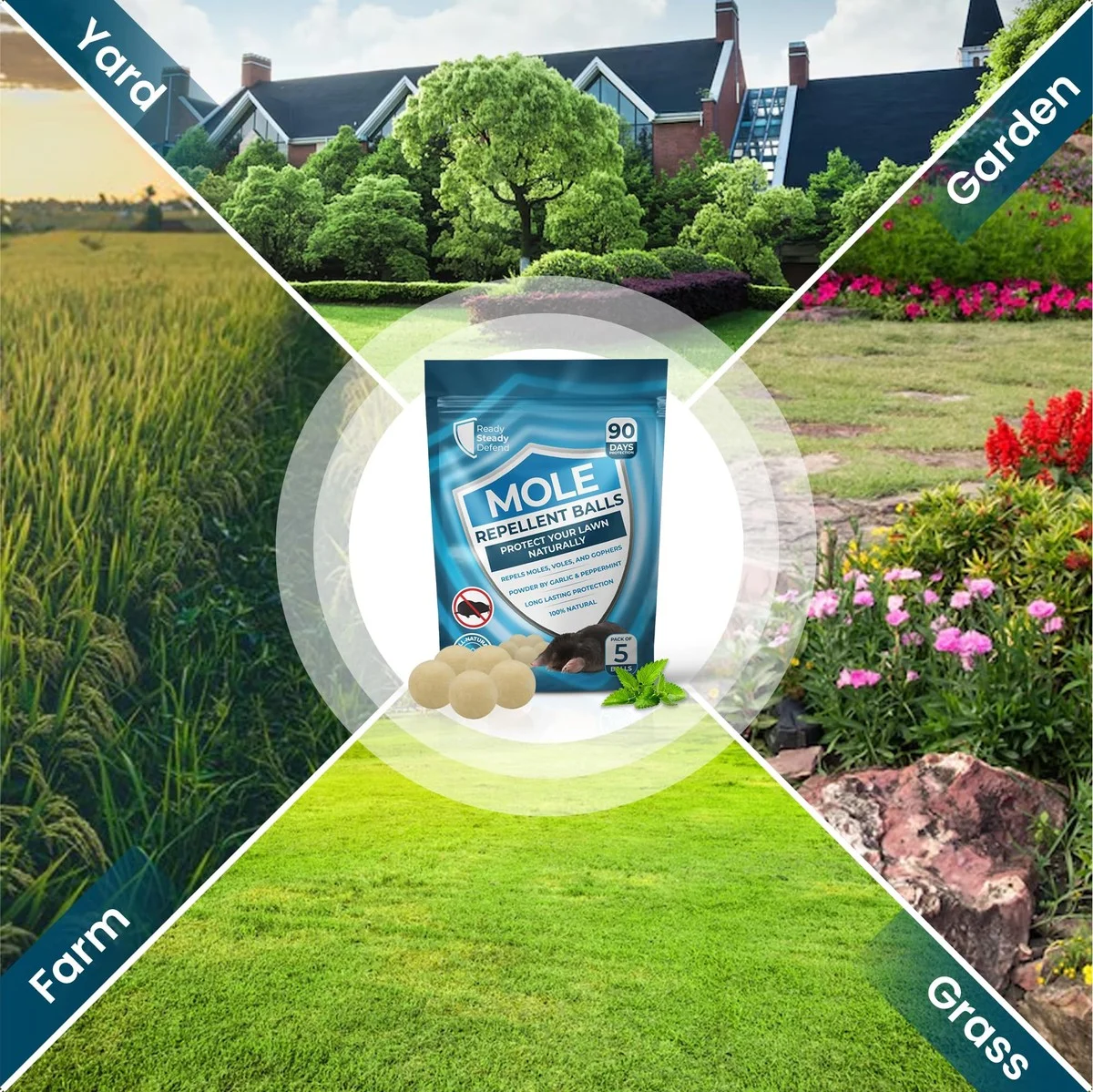 Warum erfahrene Gärtner eine Blechdose auf einen Stock im Garten stecken - image 1