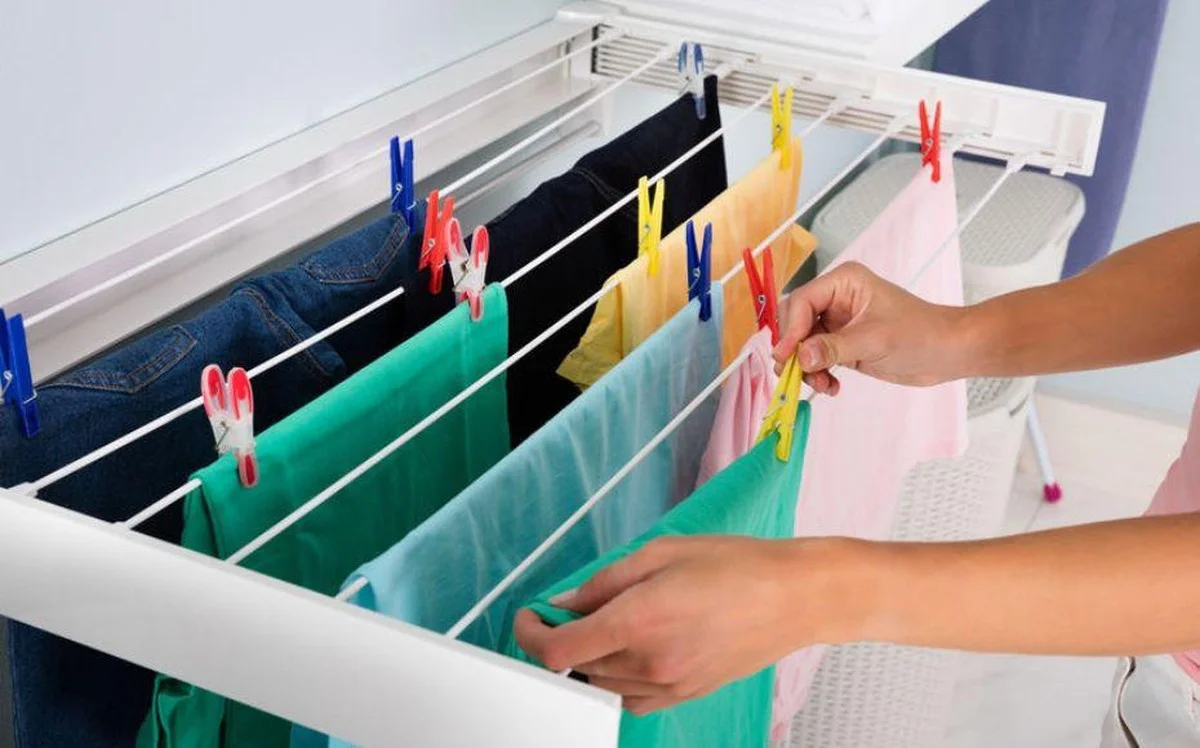 Warum erfahrene Gärtner im Winter einen Schwamm unter den Blumentopf legen - image 2