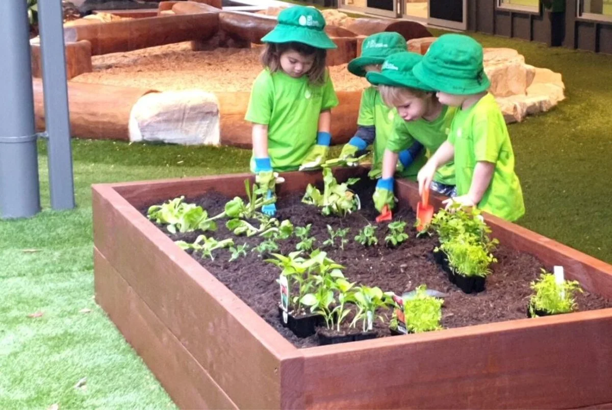 Warum erfahrene Gärtner aufhören, ihr Beet umzugraben – und Sie sollten es auch - image 2