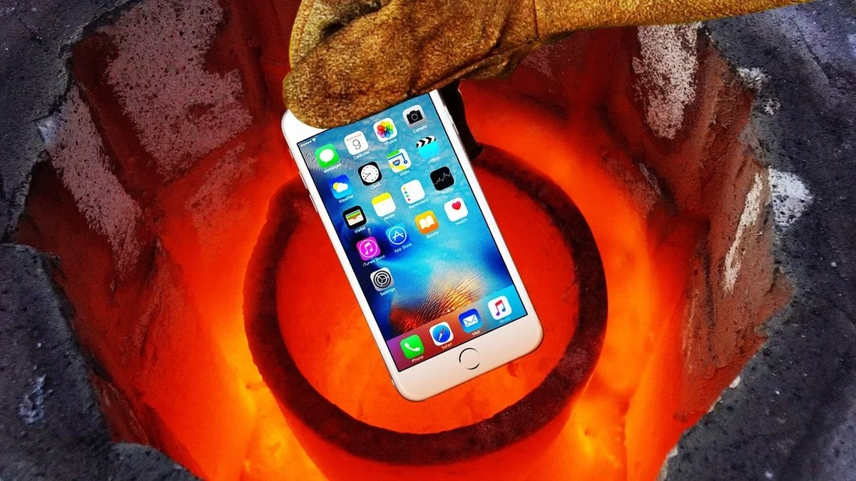 Warum erfahrene Gärtner einen Schwamm auf den Topfboden legen - image 2