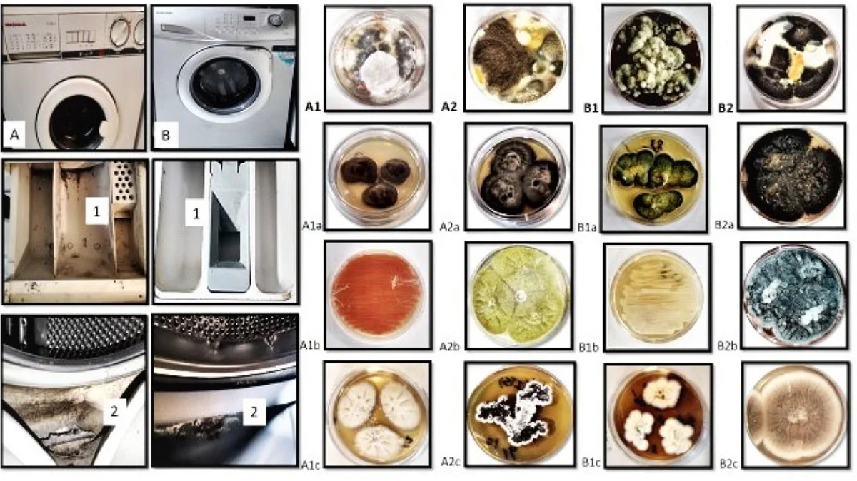 Warum erfahrene Österreicher immer ein Tuch mit Essig in die Dichtung ihrer Waschmaschine legen - image 2
