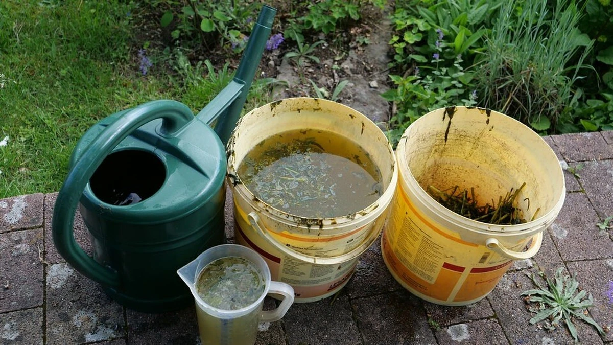 Warum Gärtner einen Löffel Zimt im Blumentopf verstecken - image 2