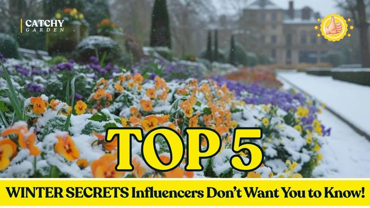 Warum Gärtner im Jänner Hydranganien-Farbe festlegen – und was Alte wussten - image 2