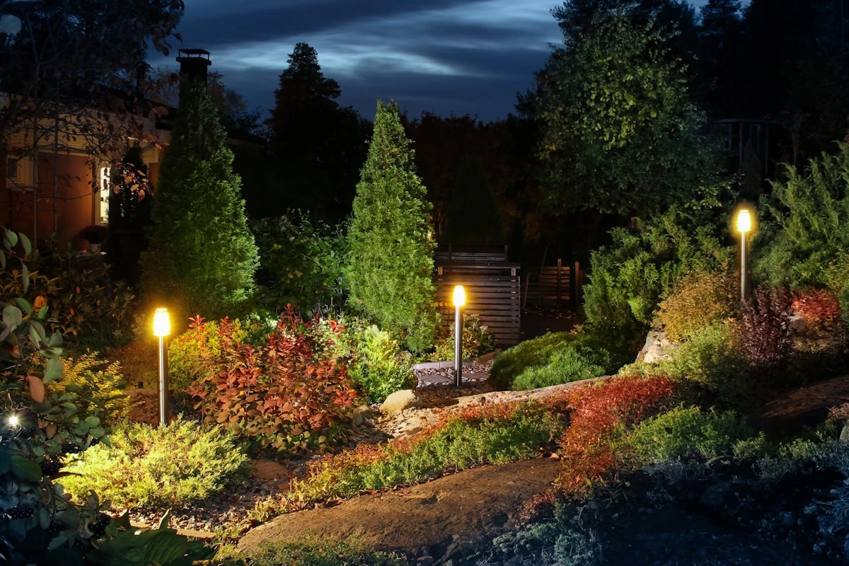 Warum ich alle Lichter in meinem Garten ausgeschaltet habe: Eine überraschende Rettung der Natur - image 1