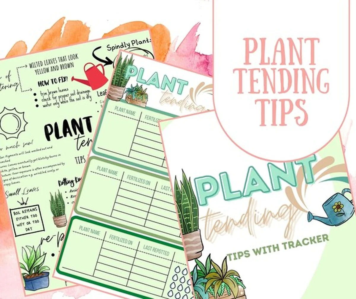 Warum Ihre welkende Zimmerpflanze mit diesem natürlichen Trick wieder auflebt - image 2