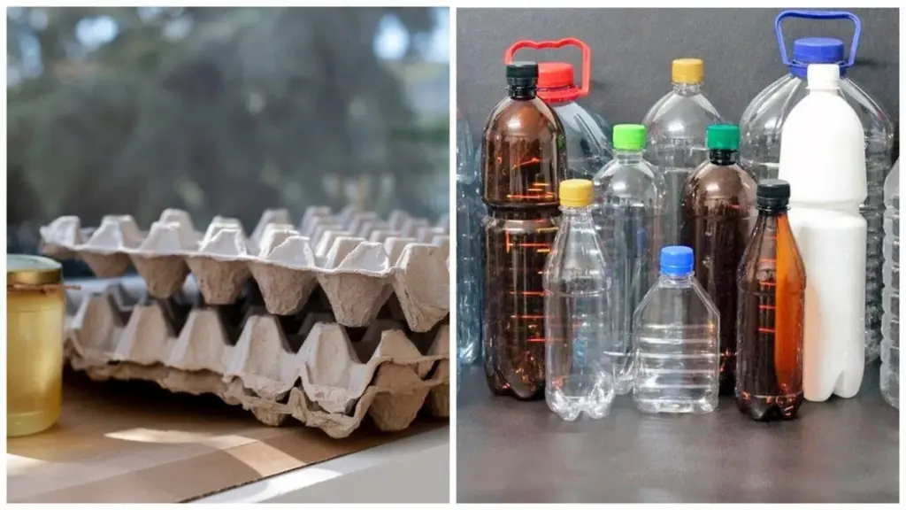 Warum kluge Frauen Plastikflaschen und Eierkartons sammeln, statt sie wegzuwerfen