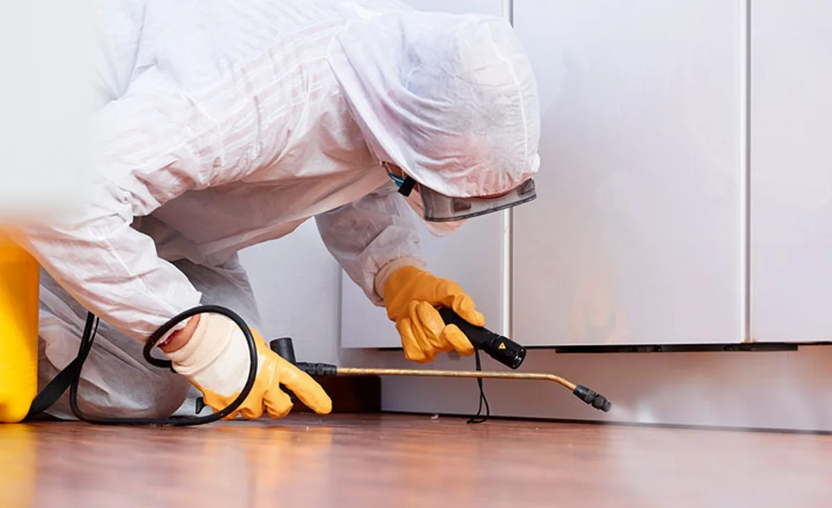 Warum österreichische Haushalte jetzt Reis und Mehl sofort umfüllen sollten - image 2