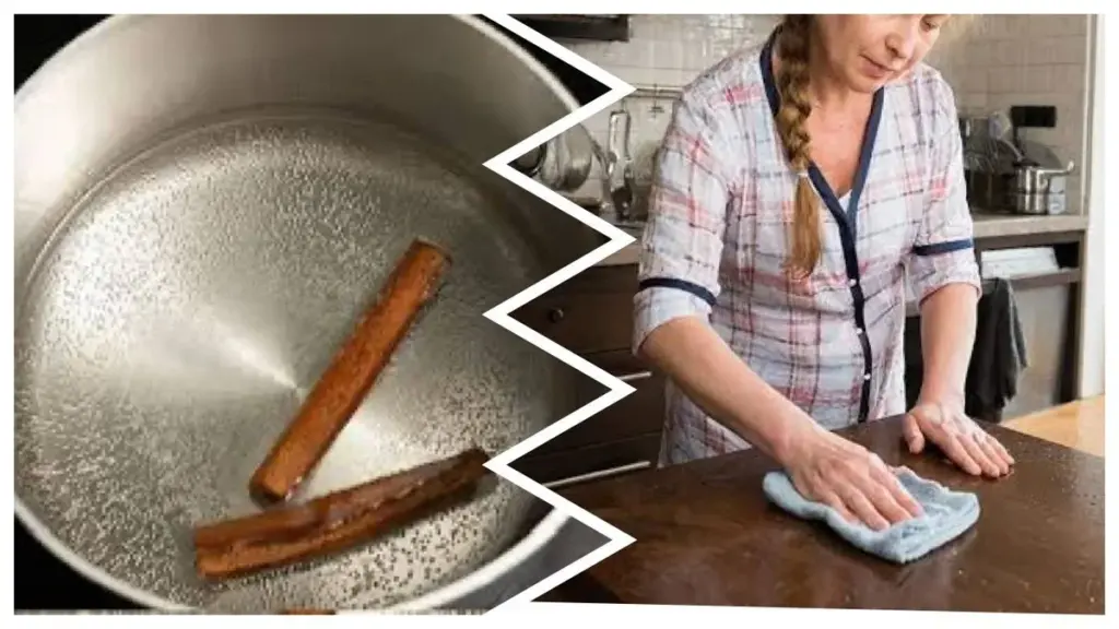 Warum Parfumeure Zimt mit Essig mischen: Ein einfacher Trick gegen Kochgerüche