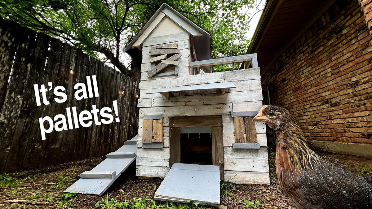 Warum Raubtiere Ihren Hühnerstall im Winter in Sekunden erkennen: Der gefährliche Fehler, der Ihre Tiere bedroht - image 1