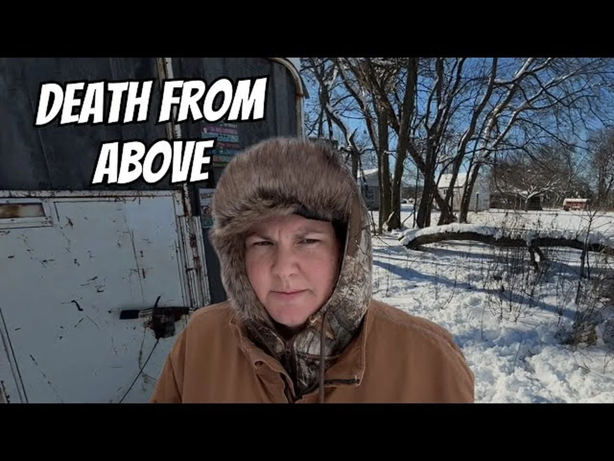 Warum Raubtiere Ihren Hühnerstall im Winter in Sekunden erkennen: Der gefährliche Fehler, der Ihre Tiere bedroht - image 2