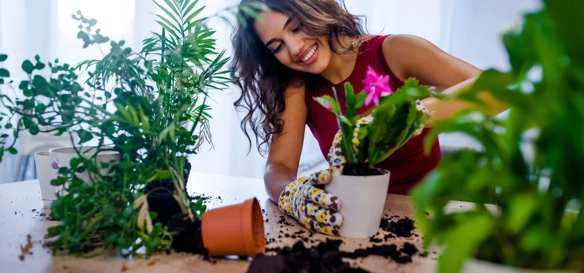 Warum Sie im Winter einen häufigen Fehler machen, der Ihre Pflanzen im Frühling schwächt: Hören Sie jetzt auf damit! - image 2