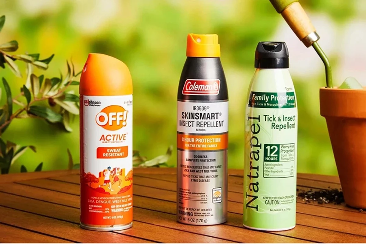 Warum Sie jetzt Zitronengras pflanzen müssen – bevor es zu spät ist - image 2