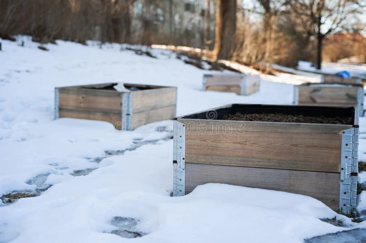 Wie ich aus 20€ einen produktiven Gemüsegarten gemacht habe - image 1