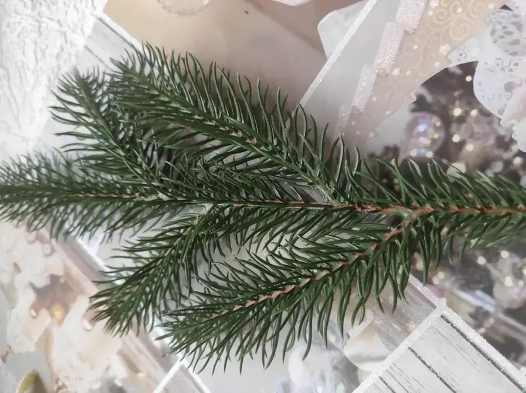 Zwei Fichtenzweige ins Wohnzimmer legen: Omas Trick gegen Streit und Pech, den niemand mehr kennt