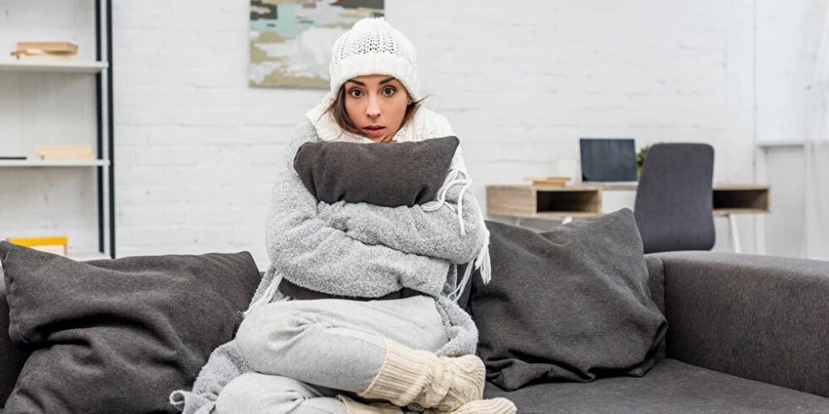 3 überraschende Tricks, um Ihr Zuhause ohne Heizung warm zu halten - image 2