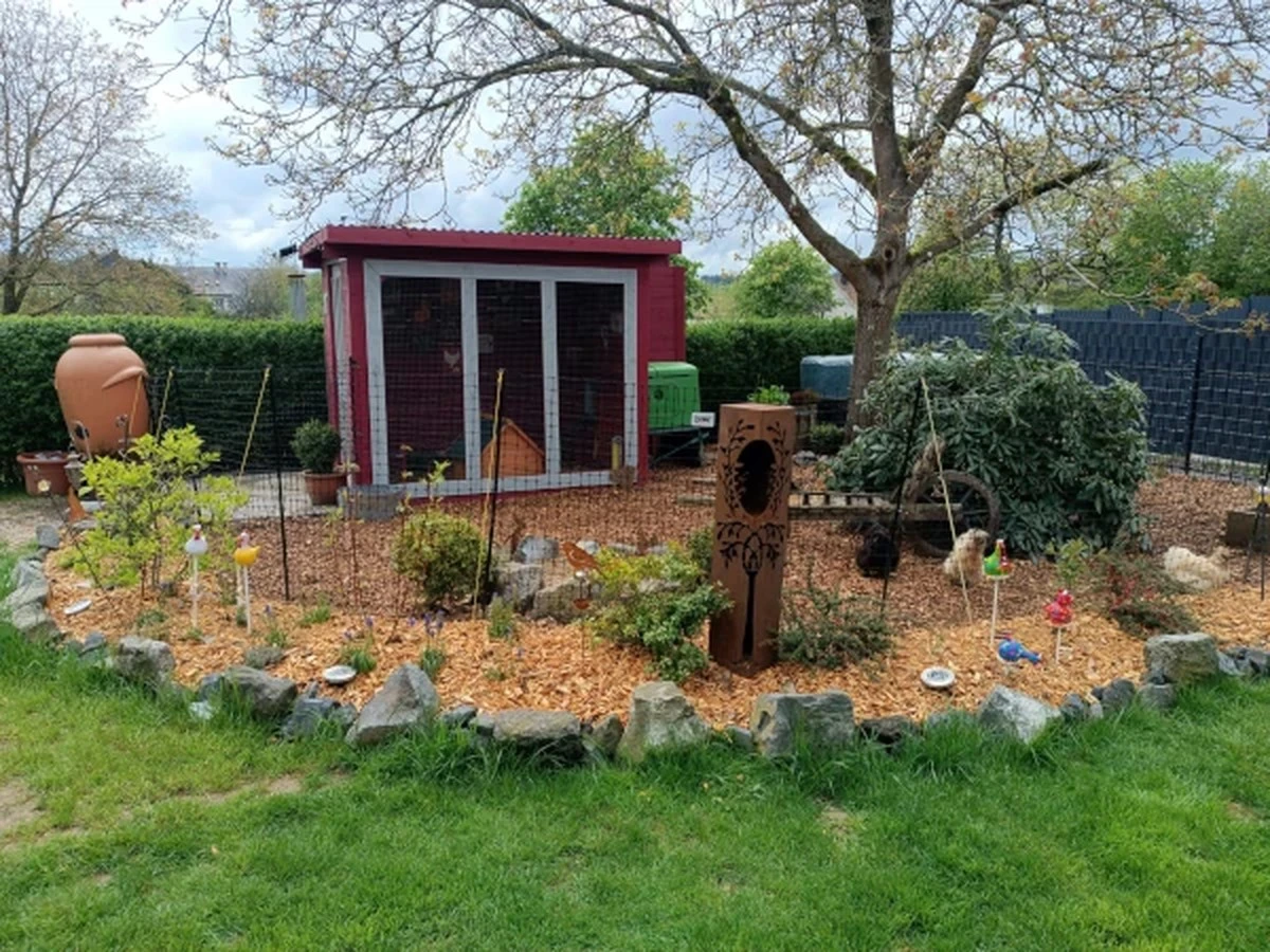 5 Pflanzen, die Hühner lieben – JETZT im März pflanzen - image 1