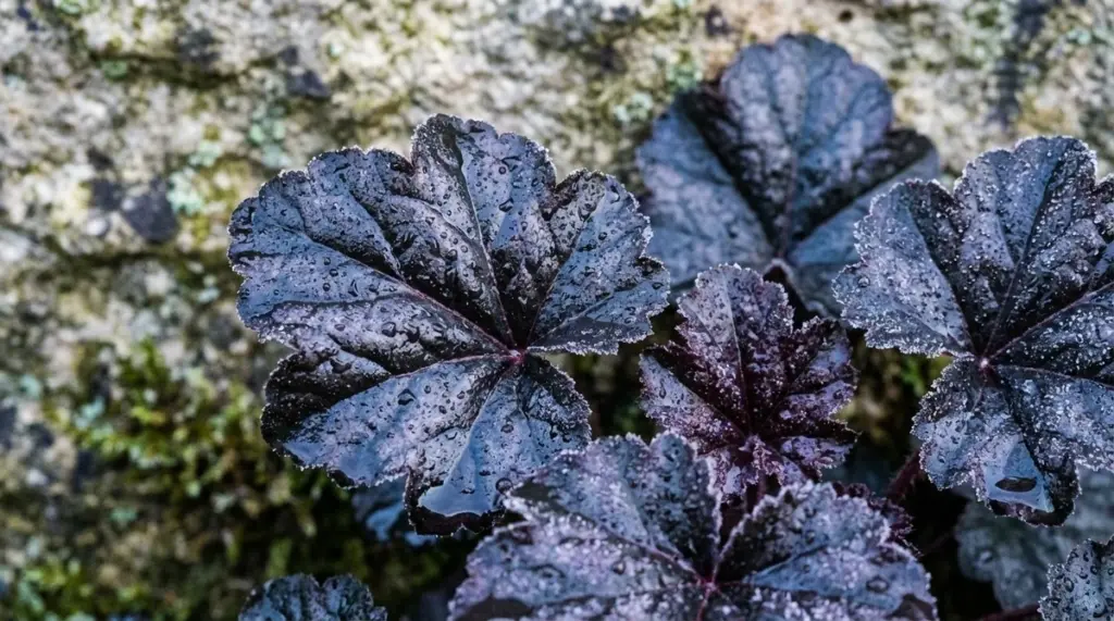 Das "Schwarze Garten"-Geheimnis: Warum dunkles Laub jetzt Ihren Garten verwandelt