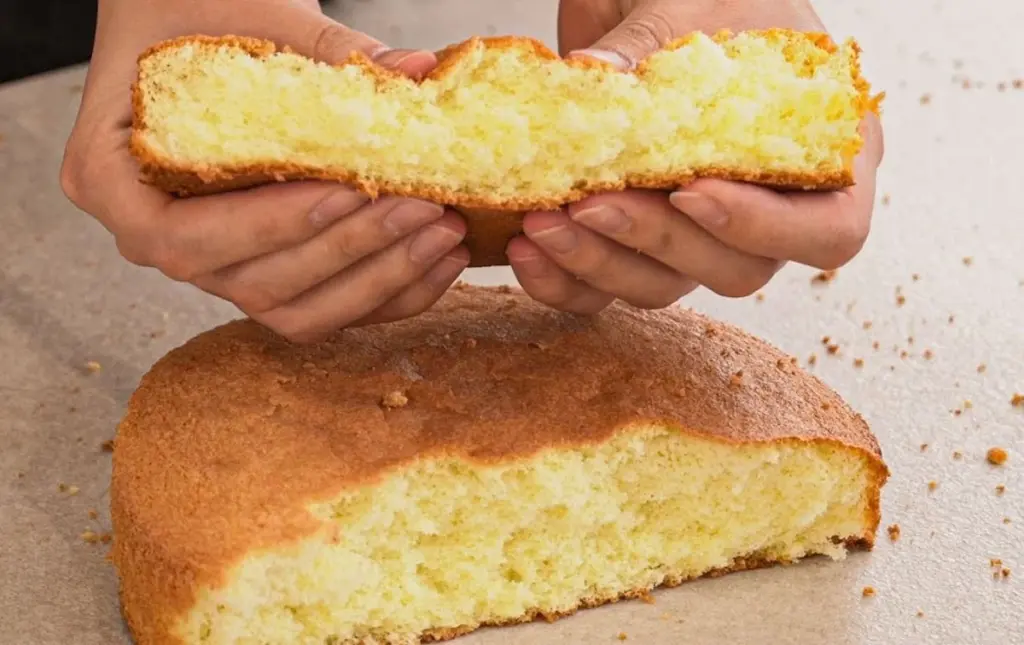 der 1-zutaten-trick: so bleibt dein biskuit nach dem backen immer fluffig