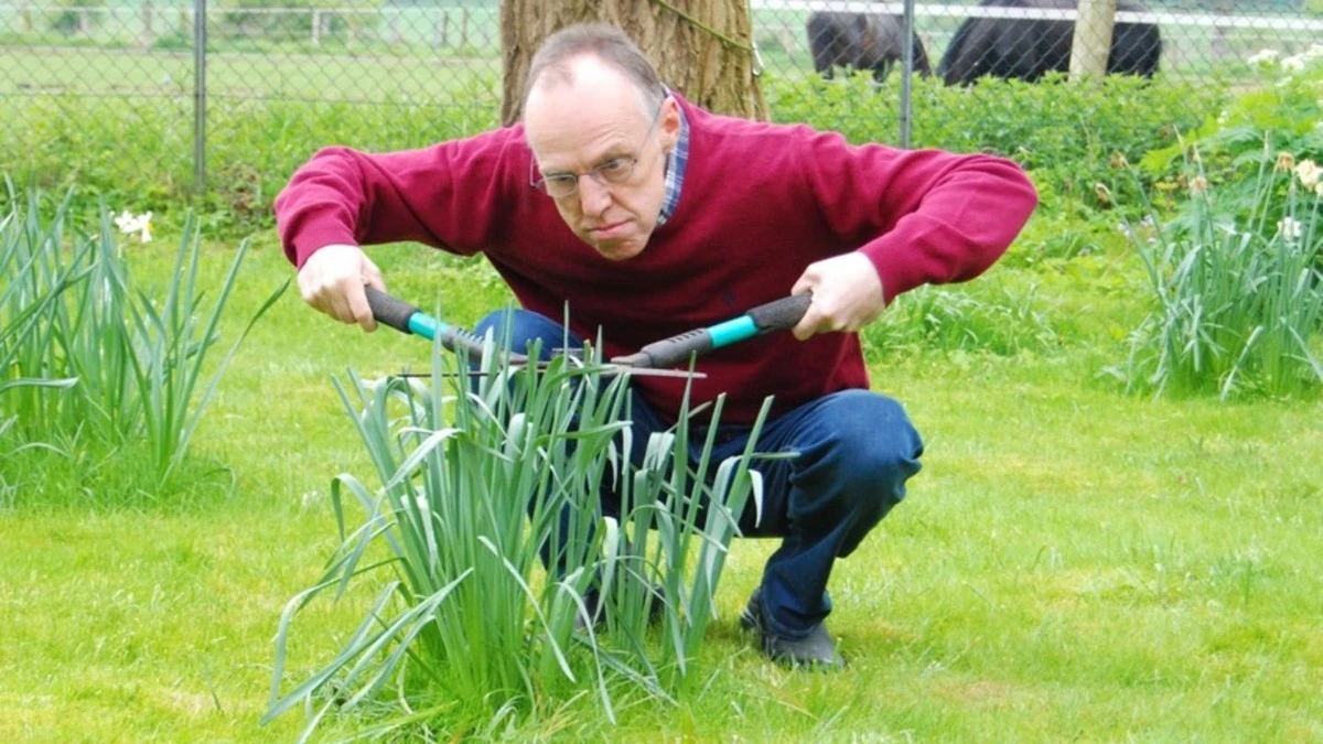 Der deutsche Gartentrick, der Blattläuse im Keim erstickt - image 1