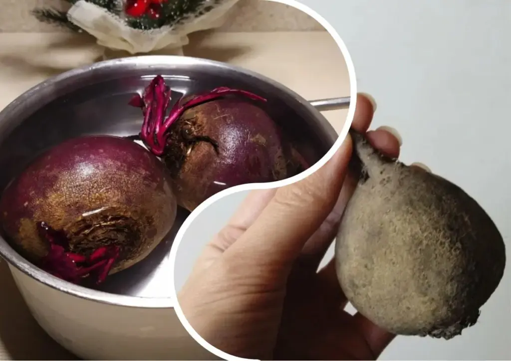 Der eine Trick, wie ich seit Jahren garantiert roten und süßen Rote Bete kaufe