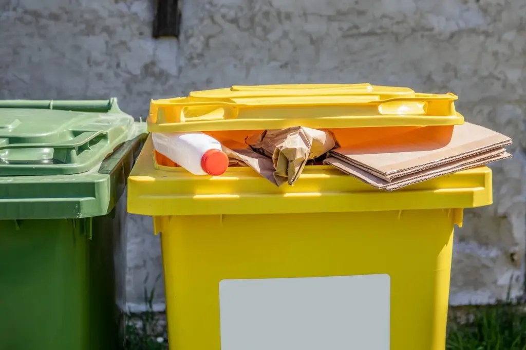 Der häufigste Fehler in der gelben Tonne: Warum Ihr Recycling mit dieser Gewohnheit scheitert