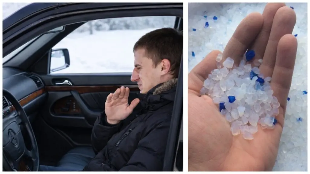 Der muffige Geruch im Auto im Winter – Ein Kampf, den fast jeder kennt: Mit 1 Sache im Innenraum war der Gestank nach 2 Tagen weg