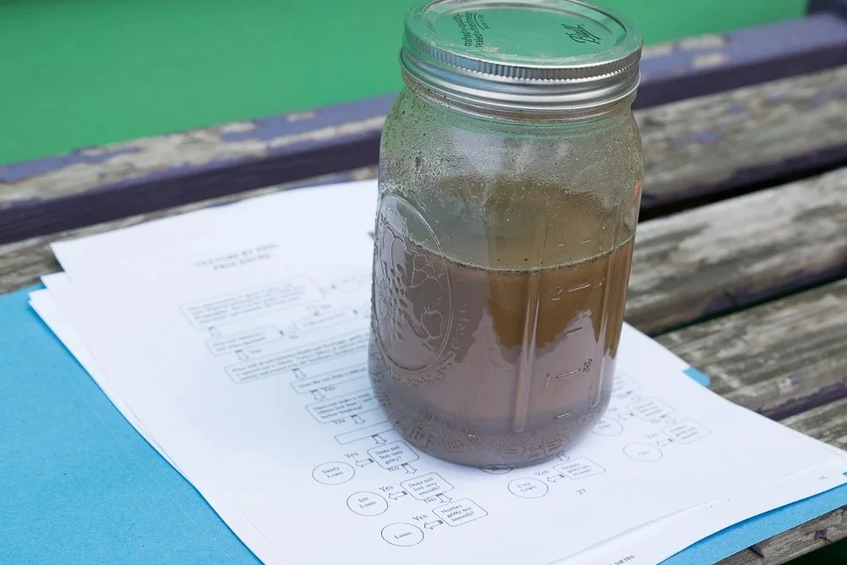Der schnelle Trick für Gärtner: So vermeiden Sie wochenlange Enttäuschungen im Frühling - image 1