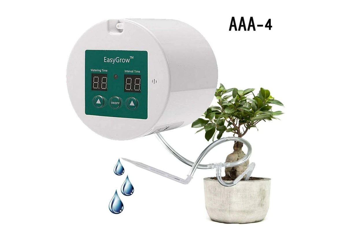 Der verborgene Schatz im Februar: Warum Sie jetzt diesen Exoten pflanzen müssen - image 2