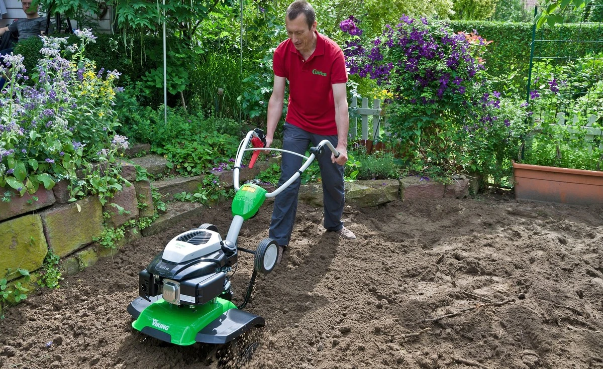 Dieser scheinbar brutale Schritt ist das Geheimnis für einen strahlenden Rasen im Frühling - image 1
