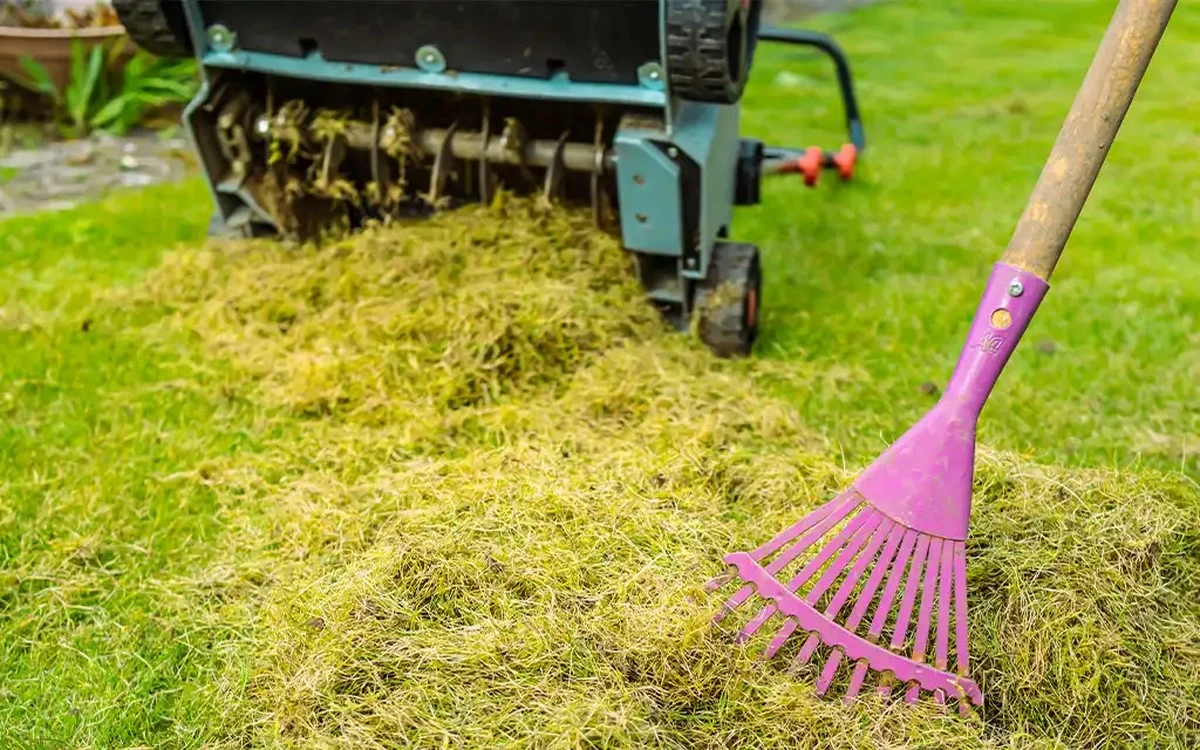 Dieser scheinbar brutale Schritt ist das Geheimnis für einen strahlenden Rasen im Frühling - image 2