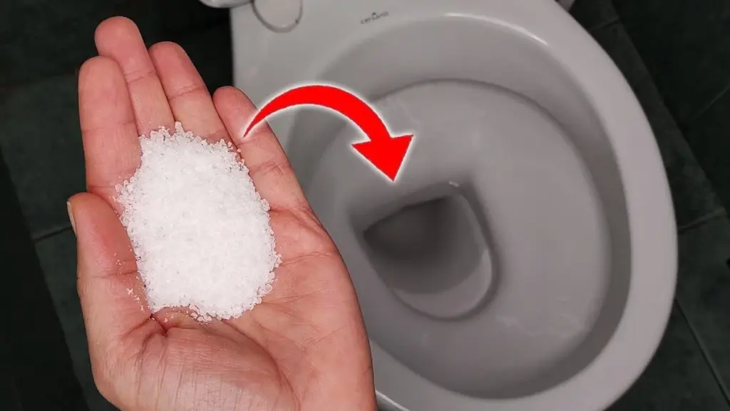 Ein Löffel Salz im Spülkasten: Ein Nachbar verrät den Trick, der Ihre Gäste zum Staunen bringt