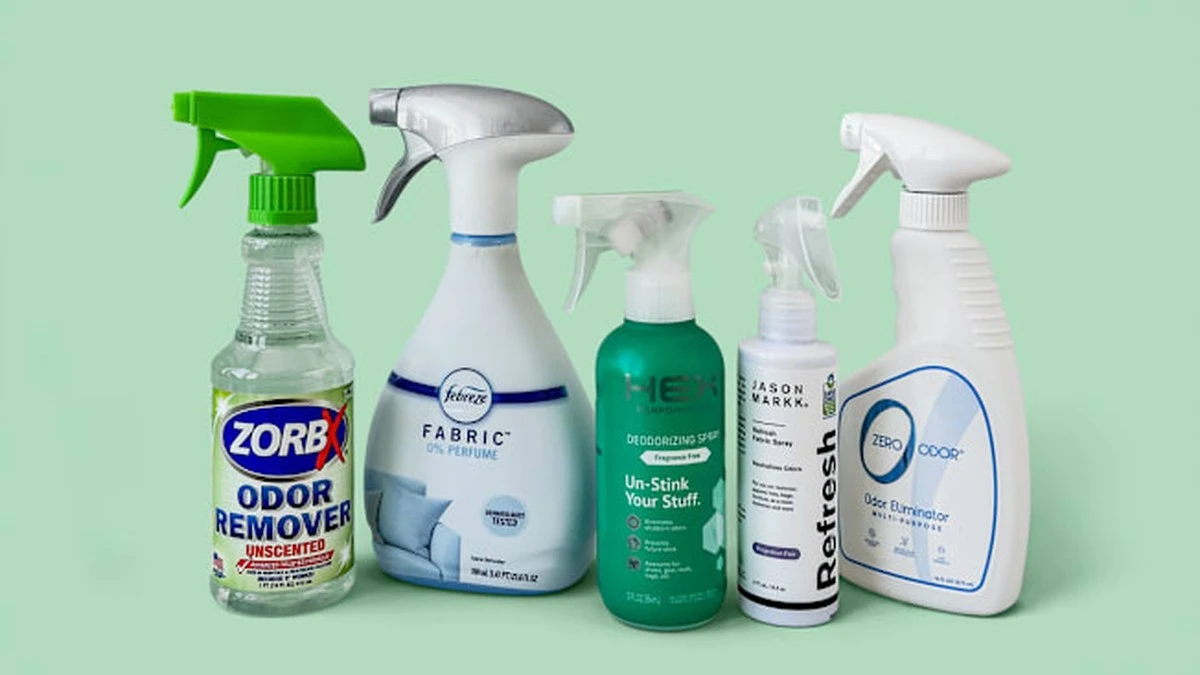 Endlich kein abgestandener Rauchgeruch mehr: Was diese Frau über Nacht auf ihr Sofa legte, war magisch - image 2