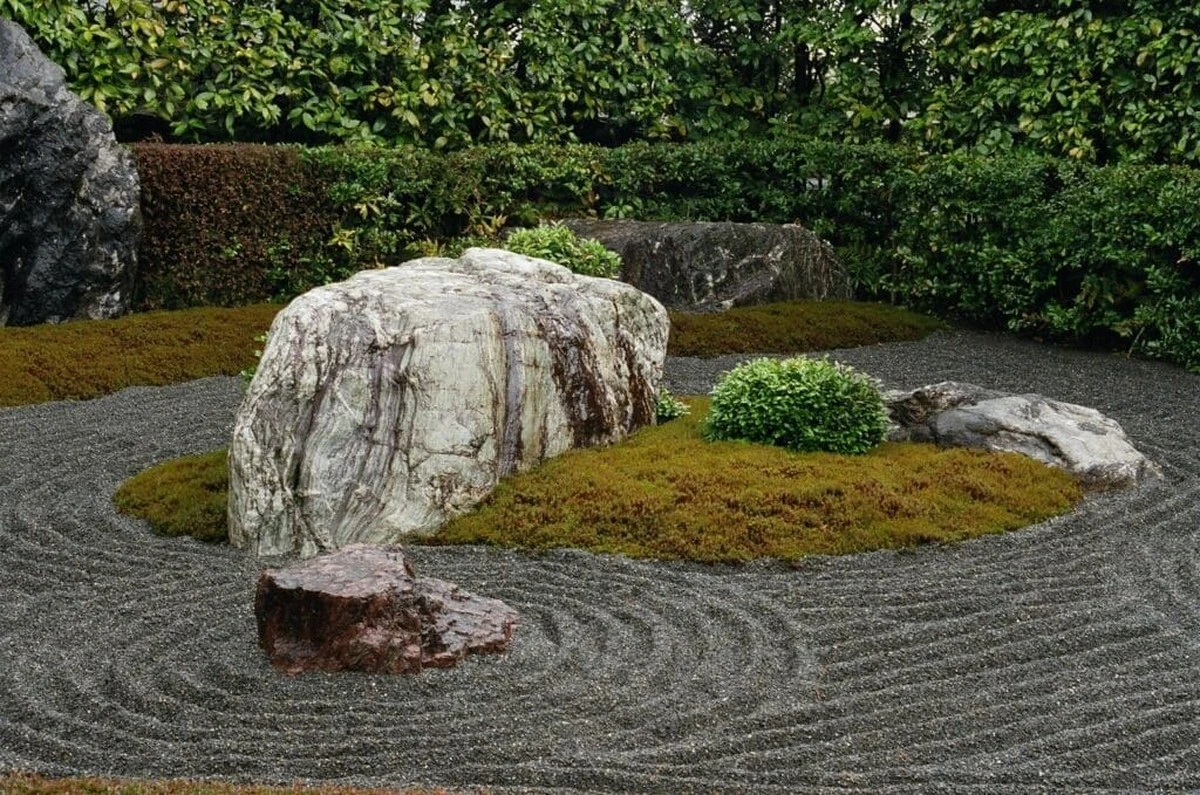 Garten-Revolution 2026: Weniger Pflege, maximaler visueller Effekt - image 2